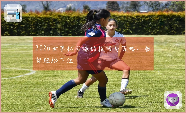 2026世界杯买球的技巧与策略，教你轻松下注