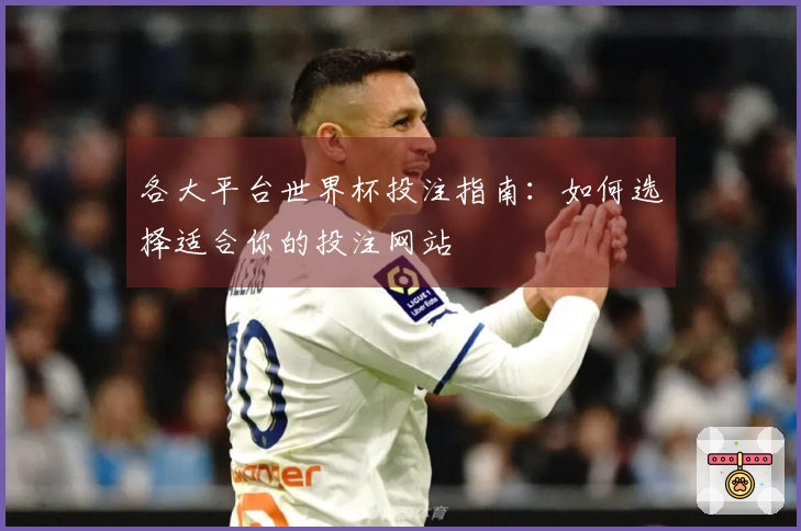 各大平台世界杯投注指南：如何选择适合你的投注网站