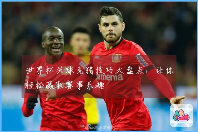 世界杯买球竞猜技巧大盘点，让你轻松赢取赛事乐趣