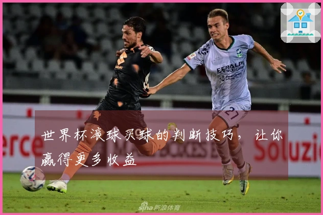 世界杯滚球买球的判断技巧,让你赢得更多收益