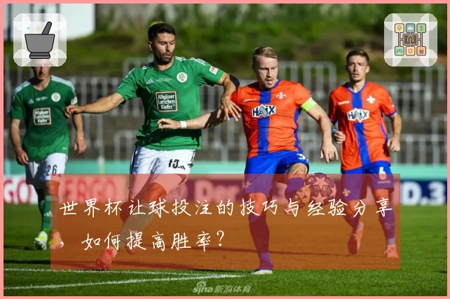 世界杯让球投注的技巧与经验分享,如何提高胜率?