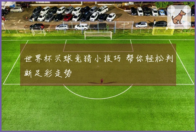 世界杯买球竞猜小技巧 帮你轻松判断足彩走势