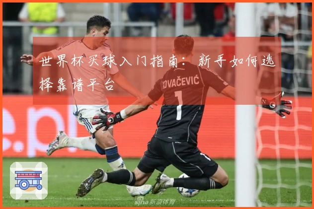 世界杯买球入门指南：新手如何选择靠谱平台