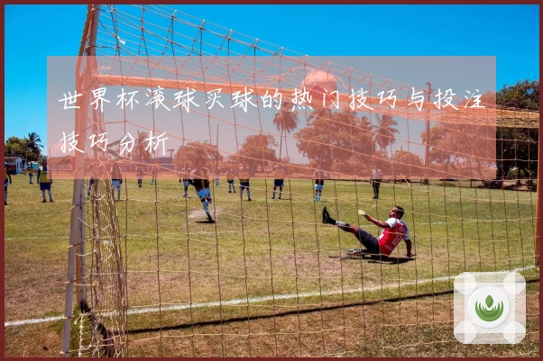 世界杯滚球买球的热门技巧与投注技巧分析